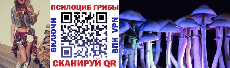 наркотики  Королёв  Псилоцибиновые грибы MAGIC MUSHROOMS 